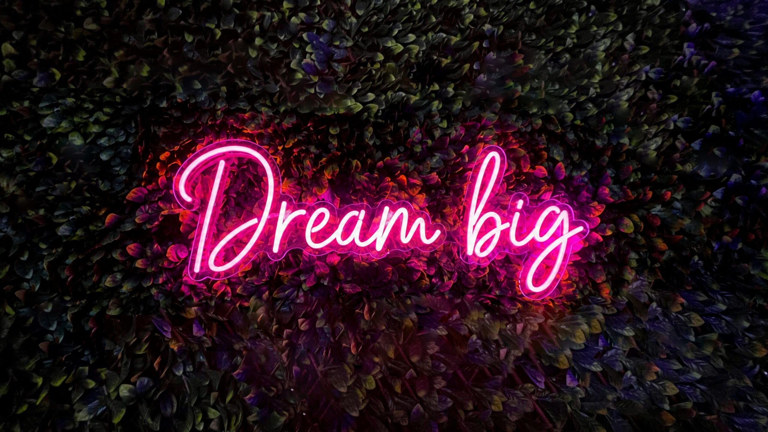 Dream big